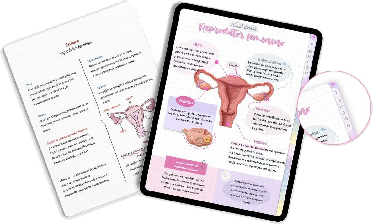 Digital Study Notebook open on iPad, Reproductive System page